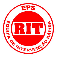 RIT - Rapid Intervention Team